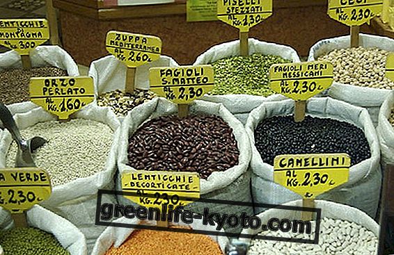 The healing power of legumes