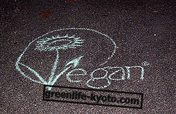 Becoming vegan: awareness and consistency