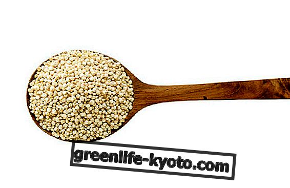 Všetky výhody quinoa