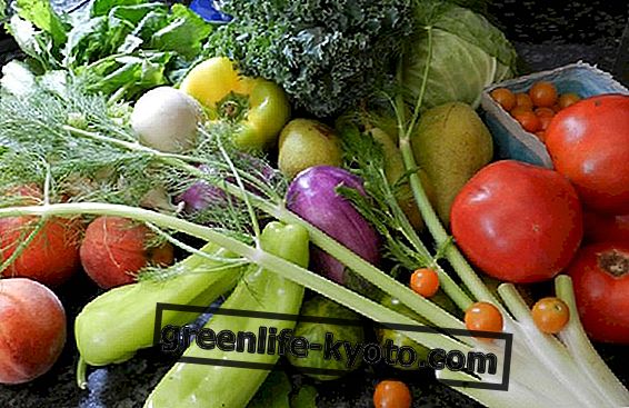 Літні фрукти та овочі