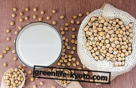 Soy and GMOs