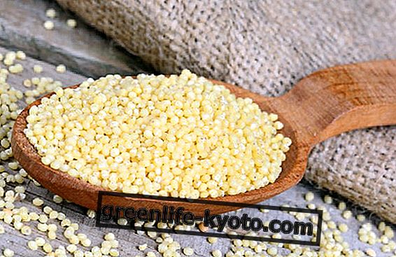 Millet, an energizing cereal
