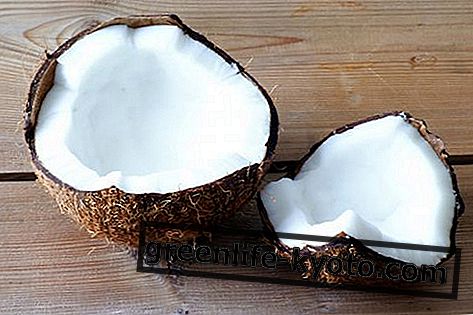 Kokos: svojstva, prehrambene vrijednosti, kalorije