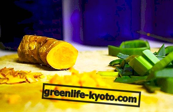 Turmeric: properties and how to take it