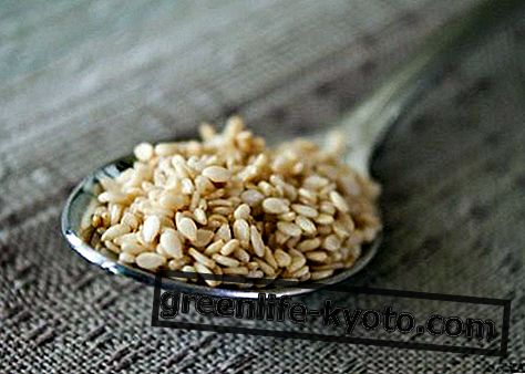 Sezamová semena, vlastnosti a způsob jejich použití