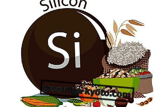 Aliments riches en silicium