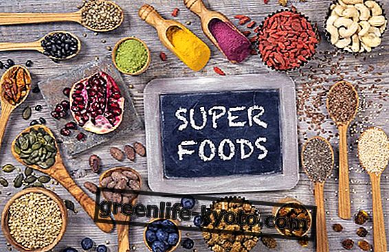 3 Superfoods, die Sie niemals auf unserem Tisch verpassen sollten