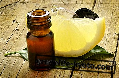 Eterično olje limone: lastnosti, uporaba in kontraindikacije