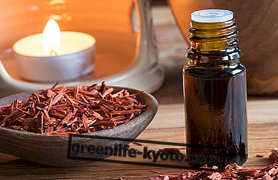 Sandalwood essential oil against stress