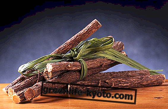 Süßholz ätherisches Öl, Zweifel, Eigenschaften und Nutzen