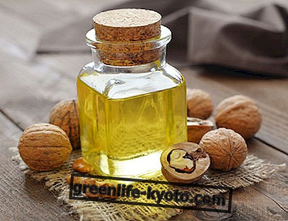 Walnut oil: all uses and properties