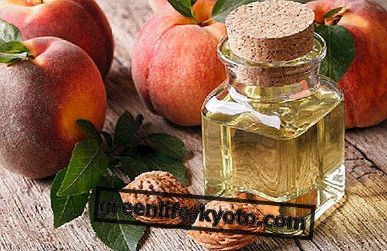 Персикове масло: властивості та застосування