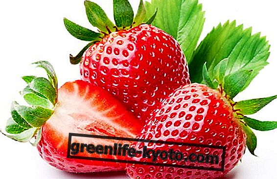 Erdbeeren und Reinigung