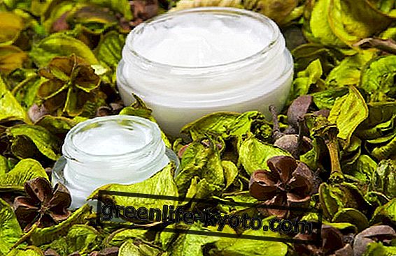 Mengapa memilih krim herbal untuk wajah
