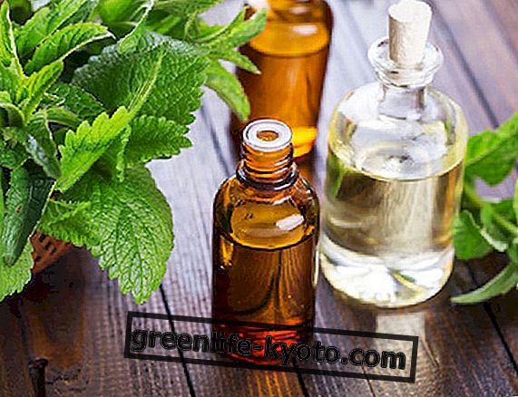 Difficult digestion?  Try the essential mint oil