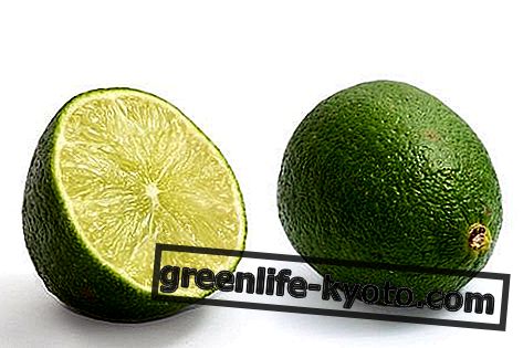 Lime esenciální olej: vlastnosti, použití a kontraindikace