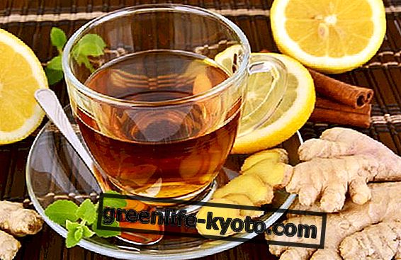 The ginger and cinnamon herbal tea