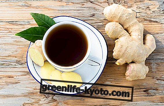Zázvorový bylinkový čaj, pomoc pri chudnutí