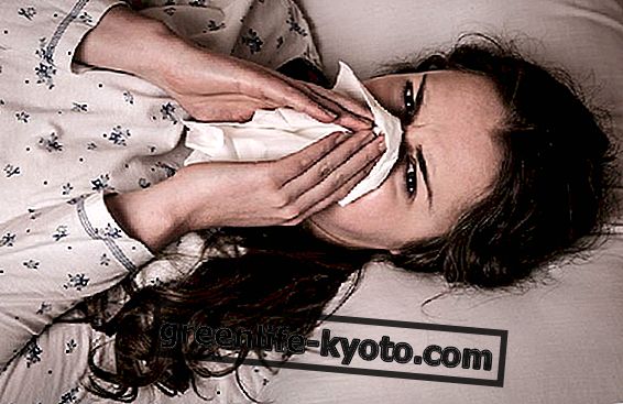Infusiones para resfriados y dolores de garganta