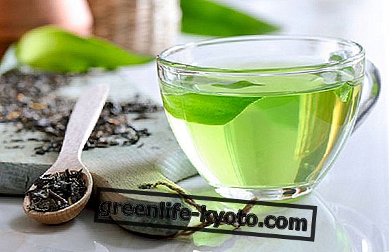 Japanischer grüner Tee