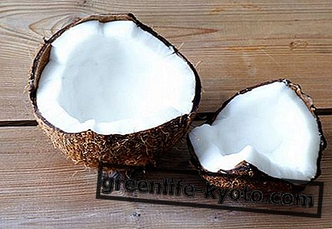Olej kokosowy: właściwości, właściwości i zastosowanie