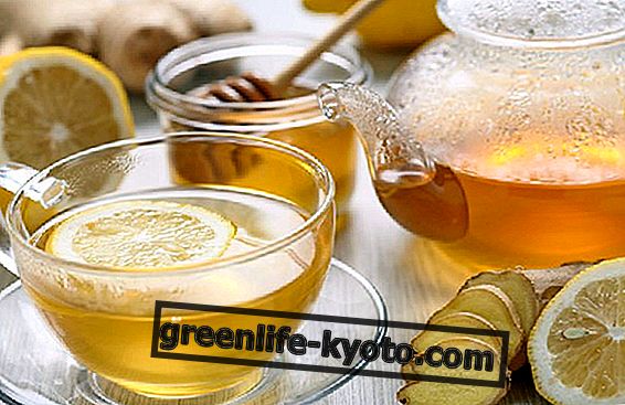 Herbata imbirowa: warianty