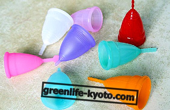 Menstrual cup, all the benefits
