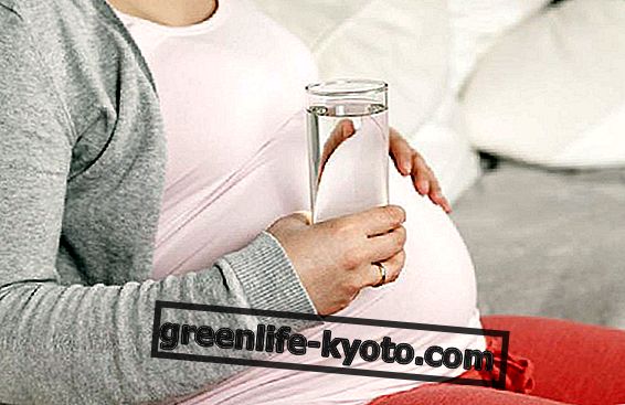 गर्भावस्था के दौरान आप कितना पानी पीती हैं?