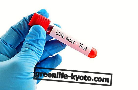 Uric acid, what it is and what it does