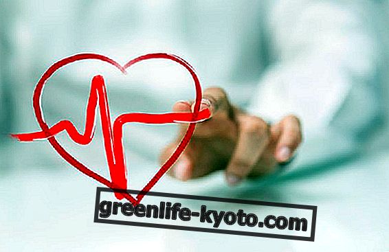 Hakkede hjertebank: symptomer, årsager, retsmidler