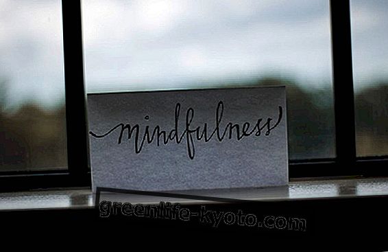 Mindfulness, sissejuhatus