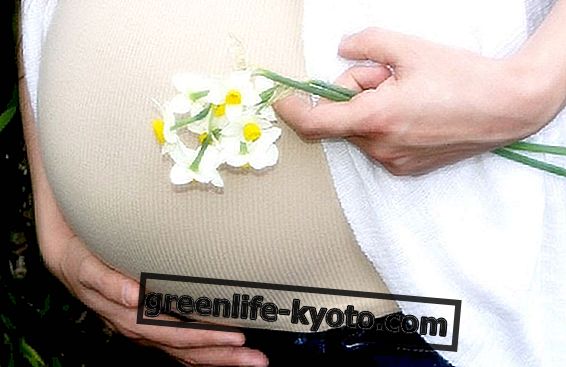 Зеленый чай при беременности: да или нет?