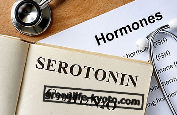 Serotonina: co to je a jaké funkce má