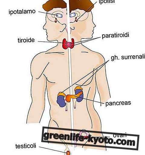 Endocrine glands, disorders and all remedies