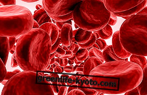 How many liters of blood are there in the human body?