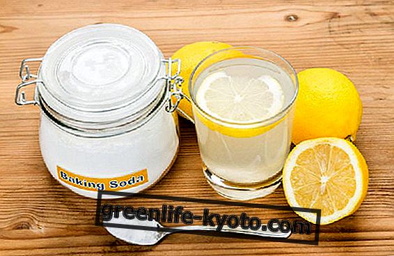 Vesi, sidrun ja bikarbonaat vähi vastu: olgem selged