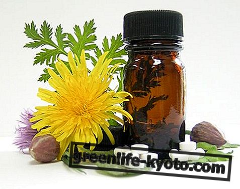 Homeopatía, descripción y uso.