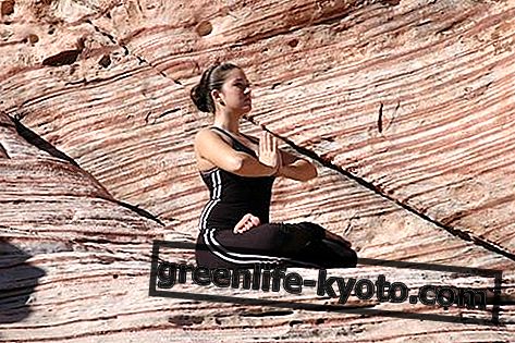 Yoga: podrijetlo, koristi, sve tehnike