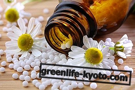 Homeopata, tko je on i što radi