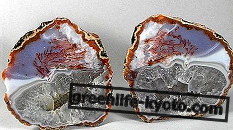 Chalcedony: all the properties and benefits