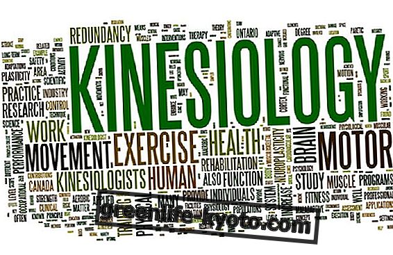 Kinesiología: los beneficios del toque para la salud.