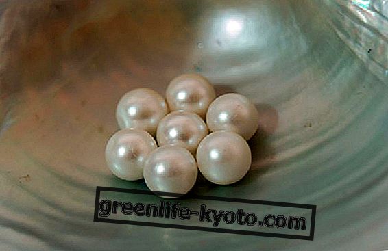 Vlastnosti perly