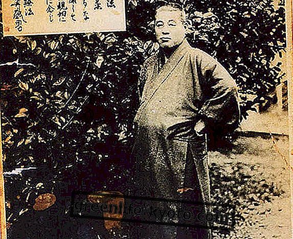 Mikao Usui: el padre de Reiki