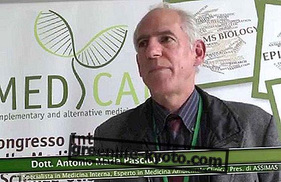 MedCam 2013: las fronteras de la medicina no convencional.