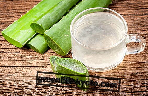Aloe vera juoda: kun se on todella hyödyllinen