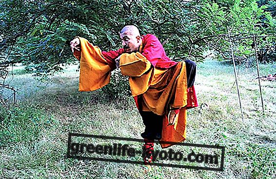 Den tibetanske Qi Gong