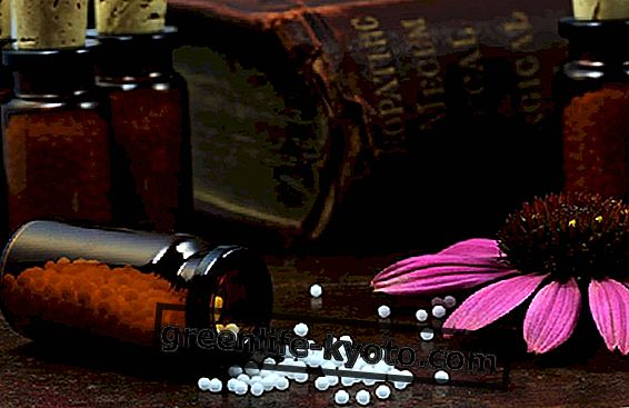 Kaip veikia homeopatija