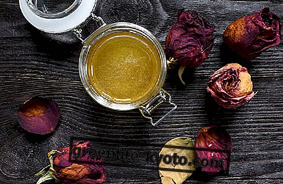 Rosé honung: egenskaper och hur man använder den