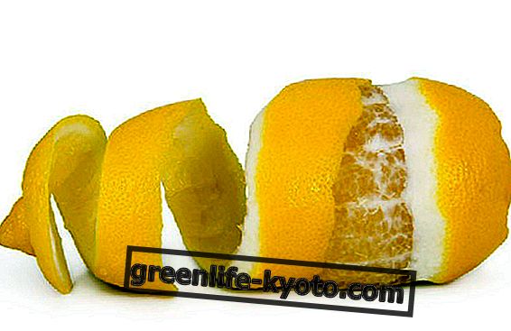 Sitruunan kuoret, miten niitä käytetään