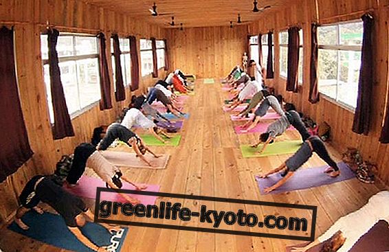 Yoga als een wegwerptraining